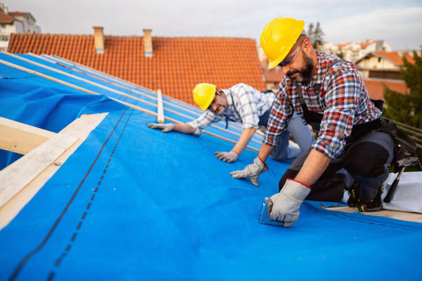 Best Roof Gutter Cleaning  in Brazil, IN